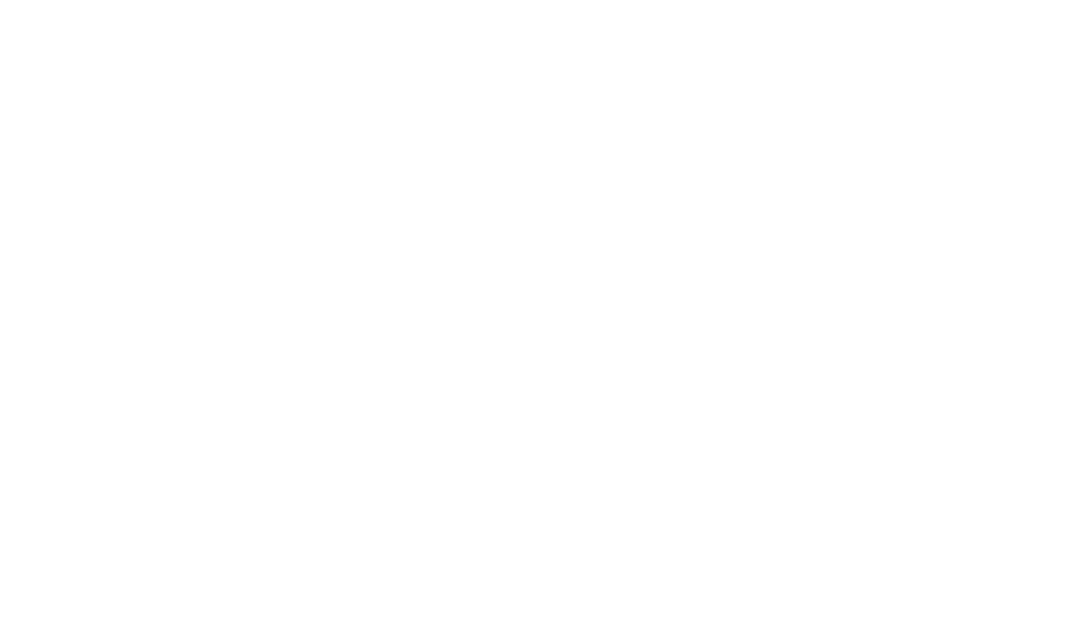 텍스트